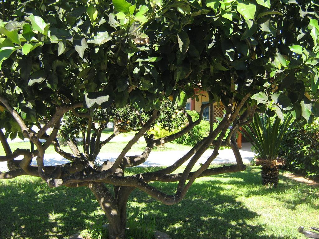 Tenuta Paifer Отранто Экстерьер фото